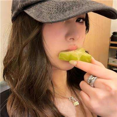 盗贼生涯
